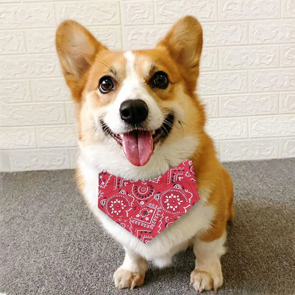 Trendy Reversible Dog Bandanas Fashionable Comfortable Pet Accessories with Dual-Sided Design Adjustable Collars Pet Puppy Cat