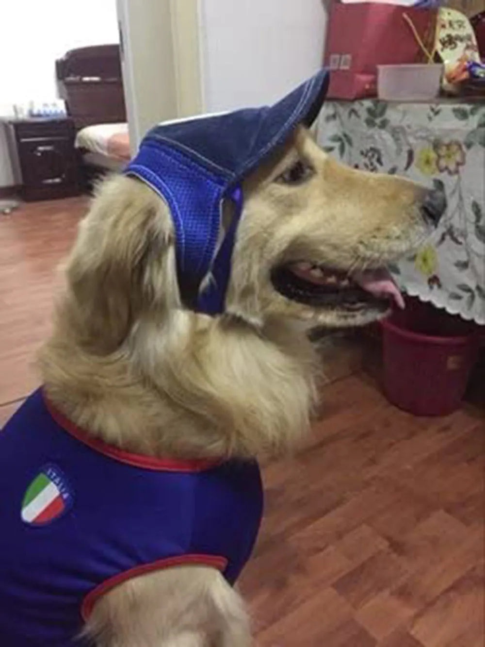 Sport Dog Baseball Cap Outdoor Pet Sunbonnet Hats Puppy Cap with Adjustable Ears Hole for Dogs Outdoor Summer Dogs Accessories
