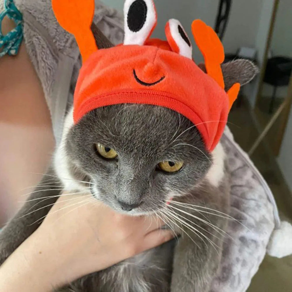 Cute Pet Hat Small Dog Cat Hat Easter Bunny Hat Crab Lobster Frog Cap Pet Party Costume Accessories Headwear for Cat Kitten Pug