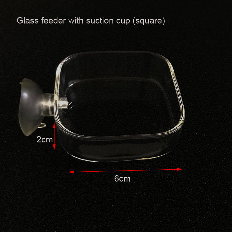 Transparent Aquarium Fish Tank Shrimp Food Feeding Circle Glass Feeder Floating Bottom Feeder Fish Shrimp Aquarium Accessories