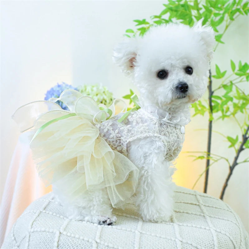 Summer White Puppy Veil Tutu Skirt Multi Layered Female Chihuahua Dresses for Sphinx Cat Wedding Party Small Medium Dog Clothes