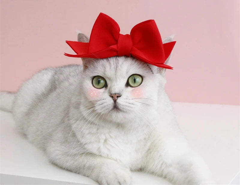 Lovely Bow Tie Hair Hoop for Cats Princess Cat Party Head Wear Pet Gifts Small Medium Dogs Accessories Elastic Cats Pet Products
