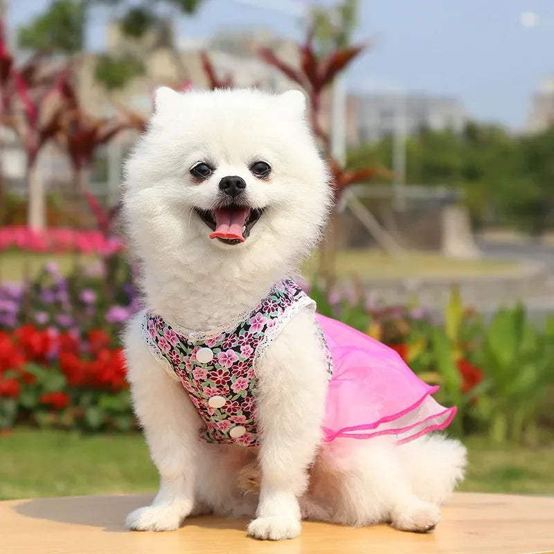 2024 Summer Dress for Dog Pets Clothes Chihuahua Wedding Dress Skirt Cloth Accessory Dog Pet Dress Supplies Hanbok Cat Costume
