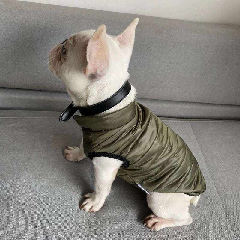 Lightweight Dog Jacket Pet Down Jacket Coat Autumn Dog Clothes for Small Medium Dogs Chihuahua Yorkie Bulldog Dachshund Clothing