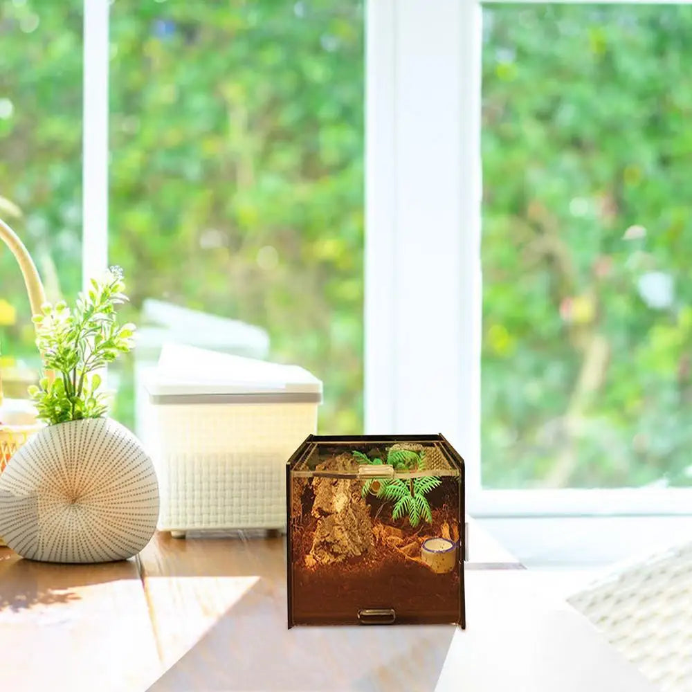 Terrarium For Reptile Snail Arcylic Breeding Box Wolf Spider Jumping Spider Snail Scorpion Durable Invertebrate Breeding Box