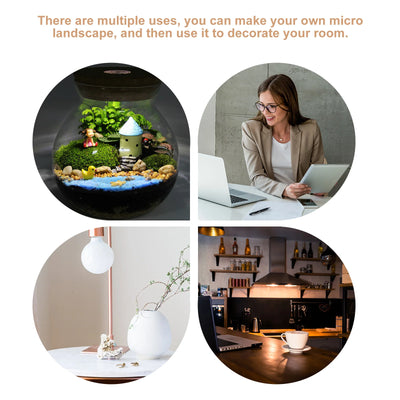 Fish Bowl Led Light Small Betta Fish Tank Led Lighting Lid Glass Fish Bowl Small Aquarium Glass Terrarium Container Bubble