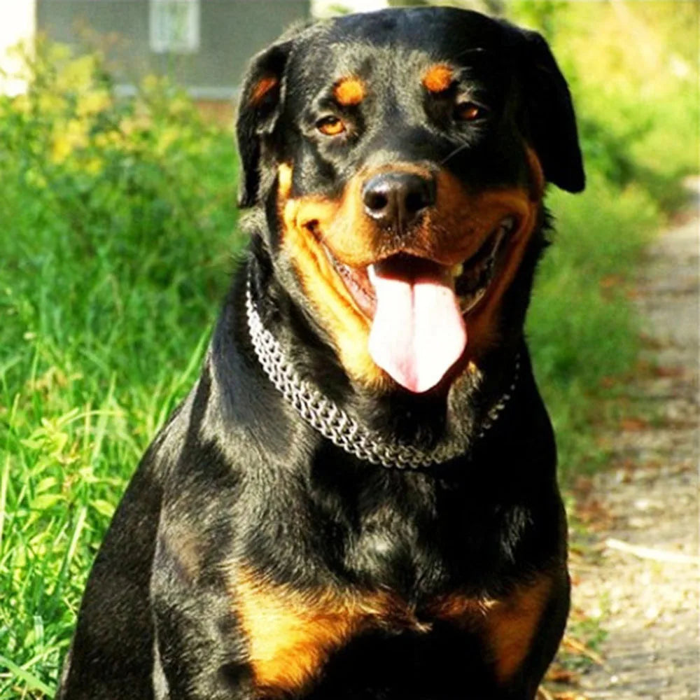 3 Rows Stainless Steel Dog Chain Collar Strong Metal Dog Chain Slip Pinch Choke Collar for Walking and Training Pet Pit-bull Dog