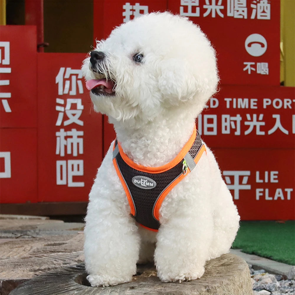 Summer Pincher Puppy Dog Vest Harness for Small Dogs High Quality Pet Harnesses and Leash Set Pomeranian Poodle mascotas Chain