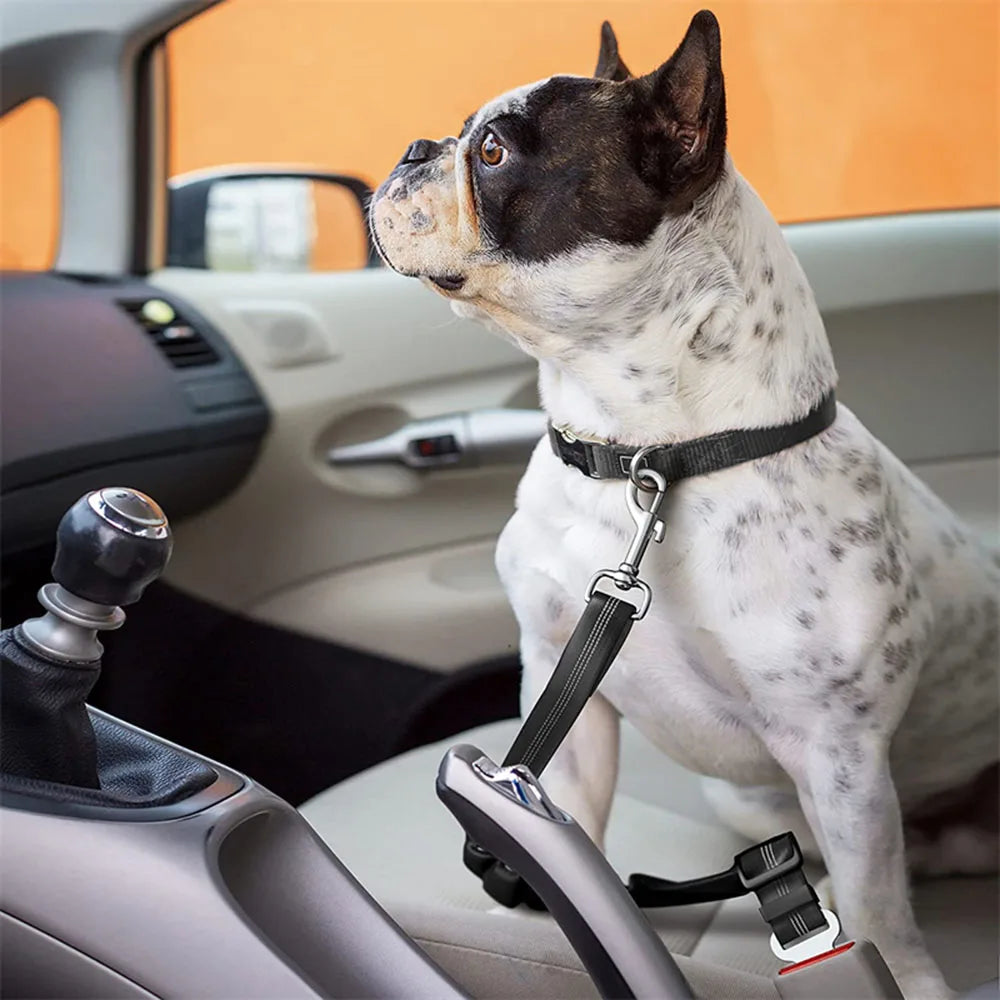 Dog Seat Belt Car Seatbelt Harness for Dogs Adjustable Durable Nylon Reflective Bungee Fabric Tether Car Travel Supplies for Pet