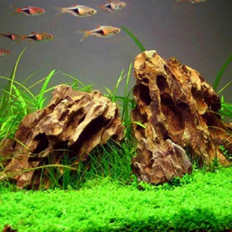 Natural Aquarium Decoration Stone Rockery Landscaping Fish Tank Porous Pine Stone Beautiful Landscape Good for Plants Growth