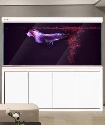 Custom Large Arowana Fish Tank glass fish tank Aquarium