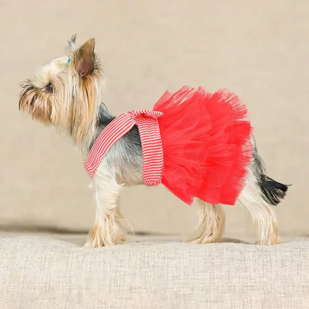 Princess Dog Dress for Small Dogs, Chihuahua Yorkie Layer Stripe Mesh Tutu Skirt Puppy Summer Clothes Pet Bowknot Dresses