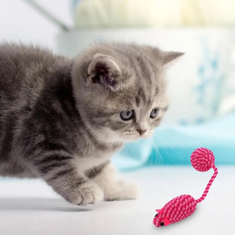 Squeaky Mouse For Cats Interactive Cat Toys For Indoor Cats Funny Teeth Cleaning Chew Toys For Small Dogs Cats Puppies Random