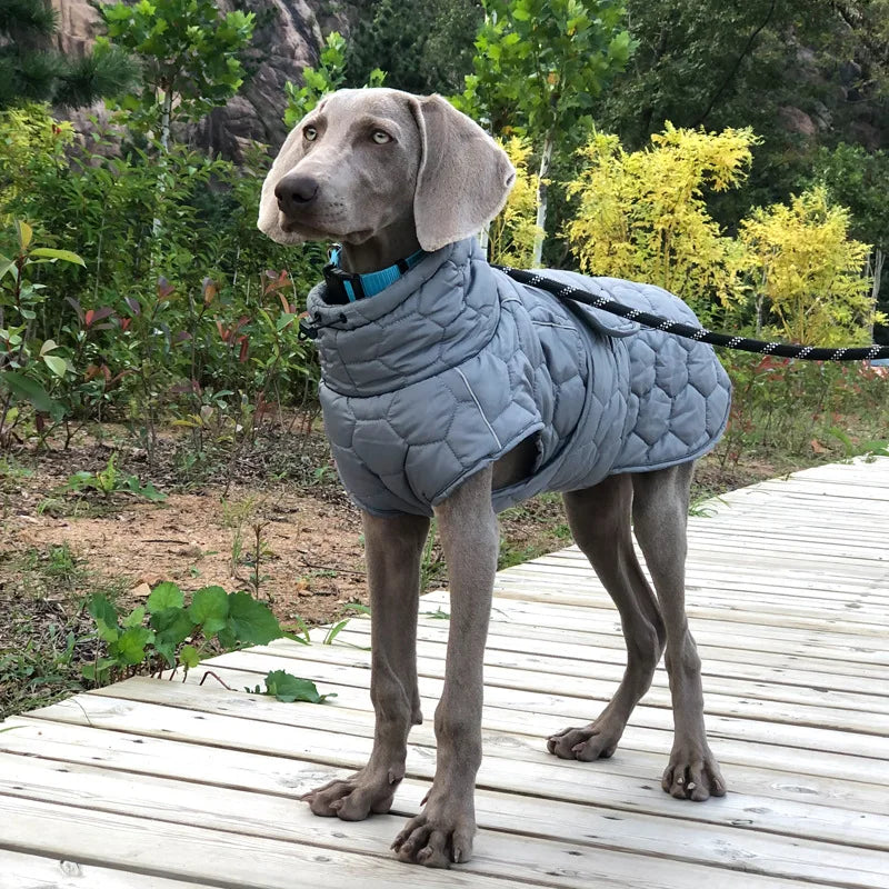 Italian Greyhound Large Dogs Clothes Winter Coat Adjustable Reflective Warm Fleece Lined Turtleneck Dog Jacket for Big Dogs