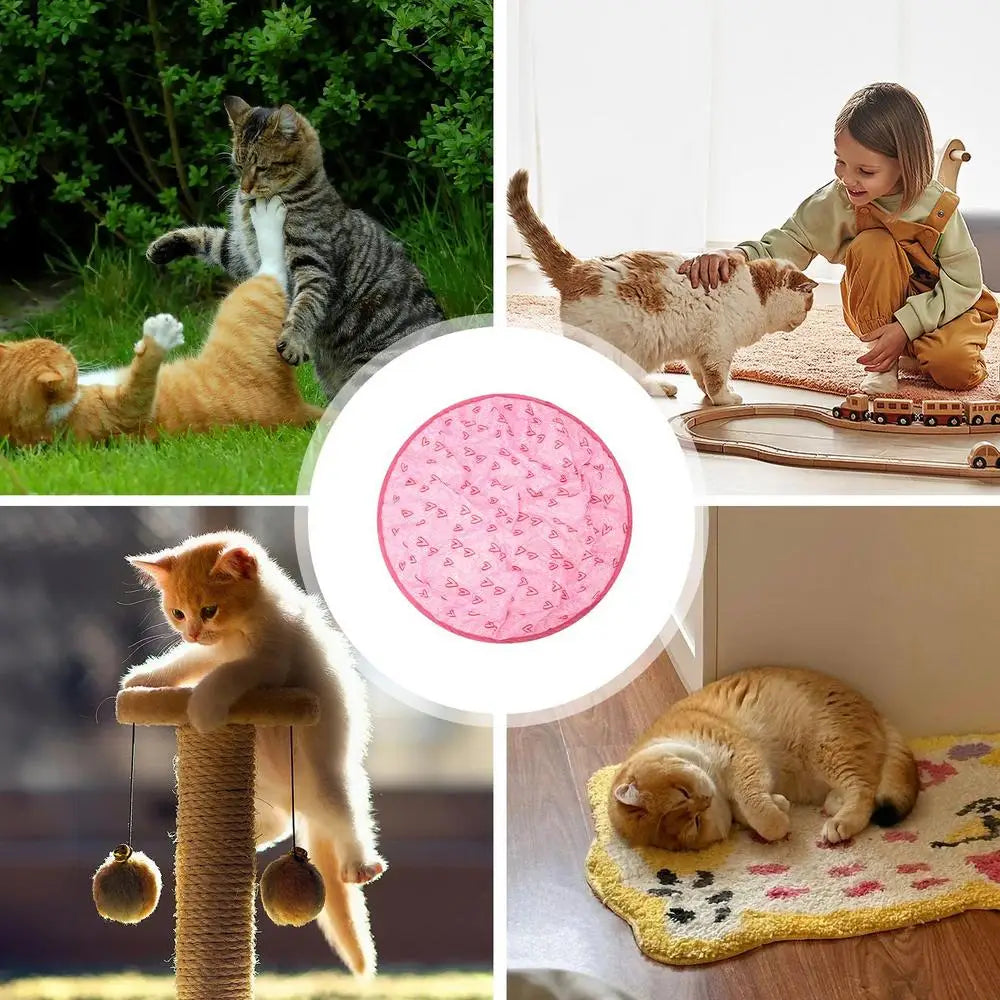 2 in 1 Self Rotating Ball Cat Toy Smart Interactive Cat Toy USB Rechargeable Wicked Ball 360 Degree Automatic Cat Moving Rolling