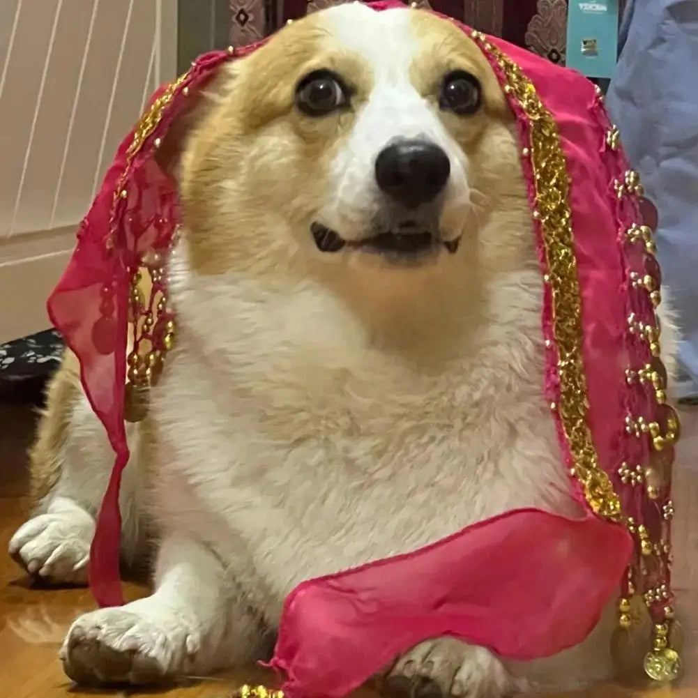 Dog Booty Shake Dance Booty Towel Decoration Pet Clothes Wrap Belly Skirts Scarf Pet Dancing Dance Hip Clothes Belt C1D2