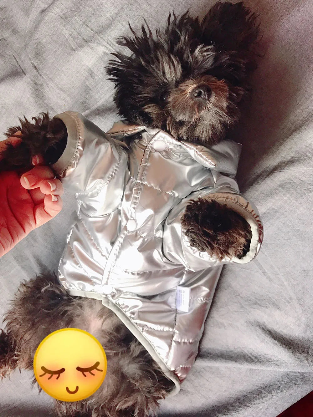 Puppy Pet Dog Clothes Outdoor Windproof Waterproof Leather Dog Coat Winter Warm Padded Jacket for Dogs and Cats in Cold Weather