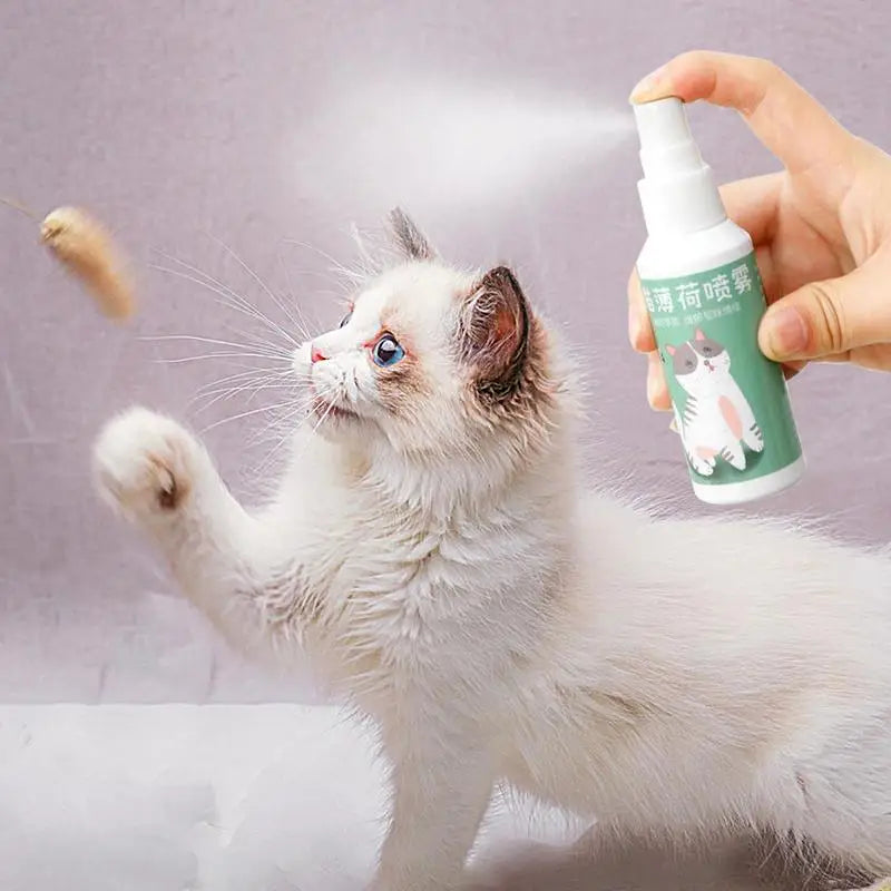 Spray Catnip Natural Maximum Potency Cat Nip Bundle High Potency Catnip 50ml Safe Non-Addictive Catnip Feline And Cat Lover