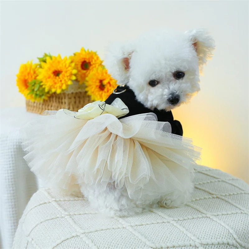 Sweet Princess Female Puppy Summer Clothes Wedding Party Dress for Dogs White Lace French Bulldog Small Medium Pet Cat Clothing