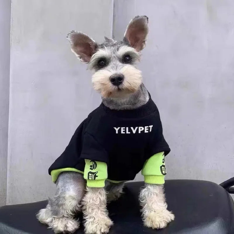 2024 Dog Clothes Cute Dog Hoodies Thin Autumn Winter Dog Coat with D-Ring Striped Print Puppy Sweatshirt Cat Jacket Pet Apparel