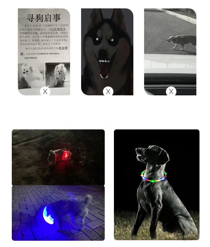 4 Modes Dog Luminou Charge Collar Led Usb Cat Silicone Colorful Collar Detachable Night Glow Pet Loss Prevention Dog Accessories