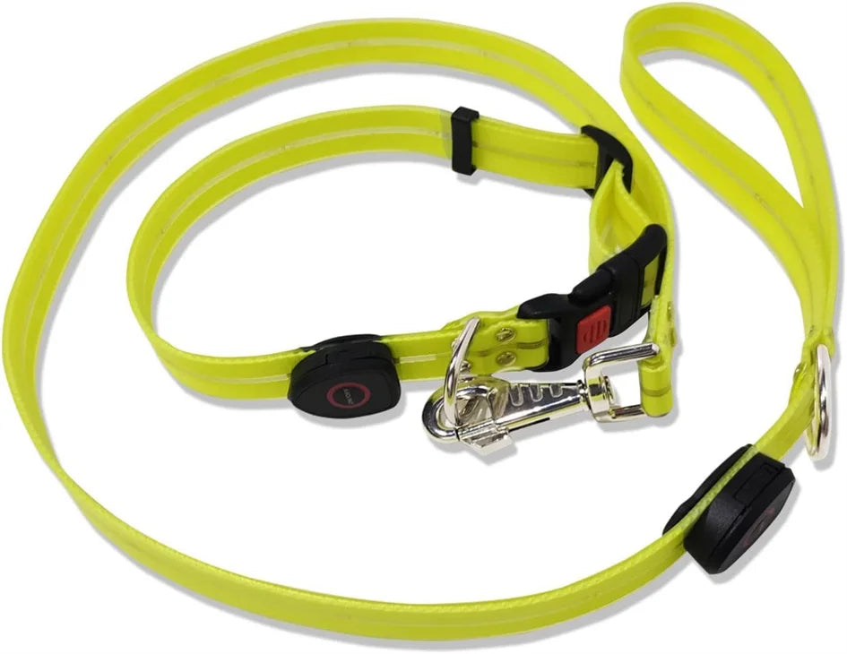 Led Light Up Dog Leash Walking Safety Glow in The Dark USB Rechargeable Adjustable for Large Medium Small Pet Lighted Dog Collar