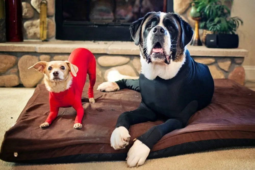 Dog Onesie Clothes Shedding of Dog Hair for Home Car Travel Anxiety Calming Shirt Surgery Recovery Body Jumpsuit for Large Dogs