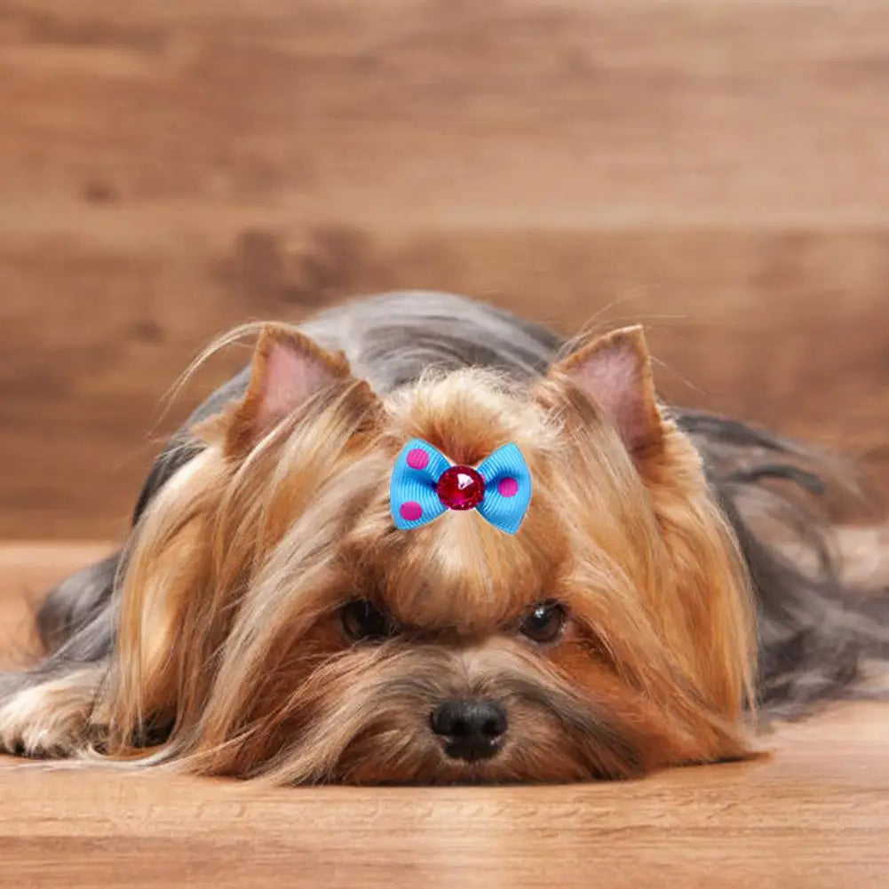 Pet Hair Accessories Bow Headdress Headband Cat Accessories Creative Princess Style Headdress Dress Up Dog Hair Clip Accessories