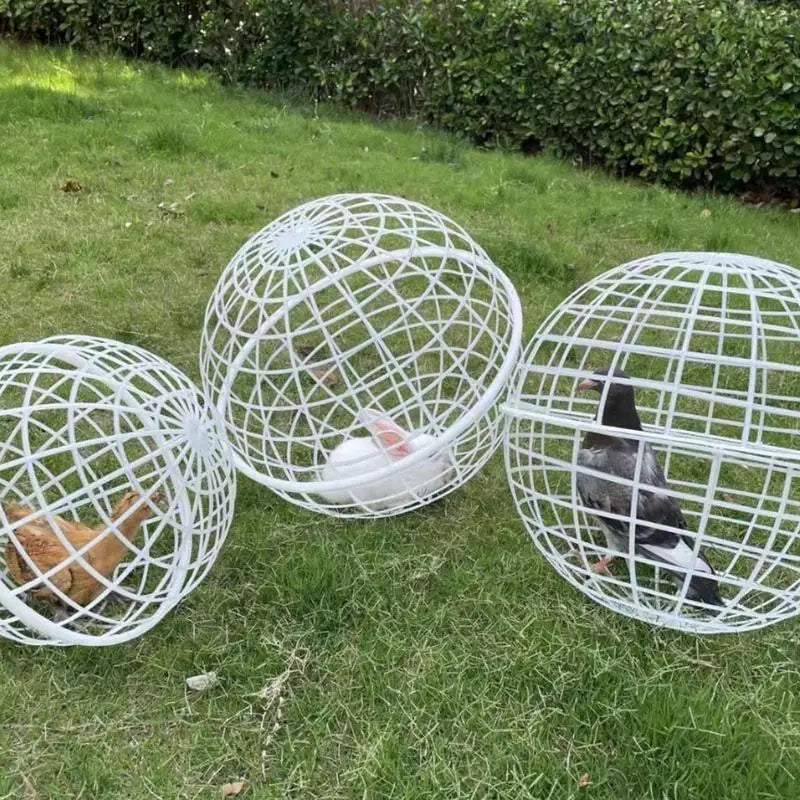 Ball Cage For Chickens Movable 3 Pieces Chicken Orb Ball Cage Pet Safety Chicken Cage Ball-Shaped Chicken Hamster Ball Cage
