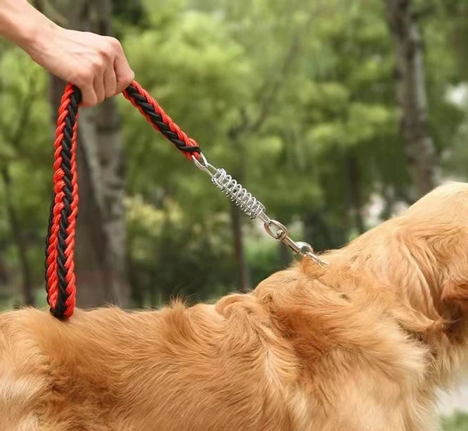 1Pcs 50cm Length Super Strong Nylon Dog Leash Dog Collar Leads For Medium Large Dogs with Spring Anti Pull Leashes Pet Supplies