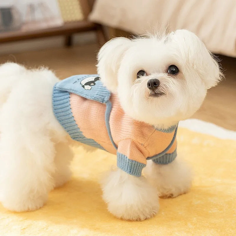 Sweater for Dog Cute Dog Clothes with Bag Autumn Winter Warm Costume Pet Cat Dog Knitted Coat Korean Bichon Chihuahua Clothing