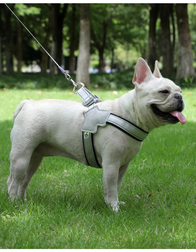 Stock dog leash Y-shaped pet chest strap teddy bichon walking dog leash reflective breathable leash adjustable