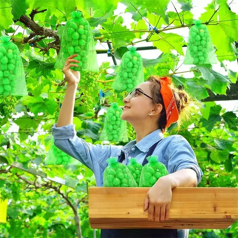 50Pcs Fruit Protection Anti-Bird Bags Strawberry Grapes Mesh Bag Plante Vegetable Netting Cover Garden Tool