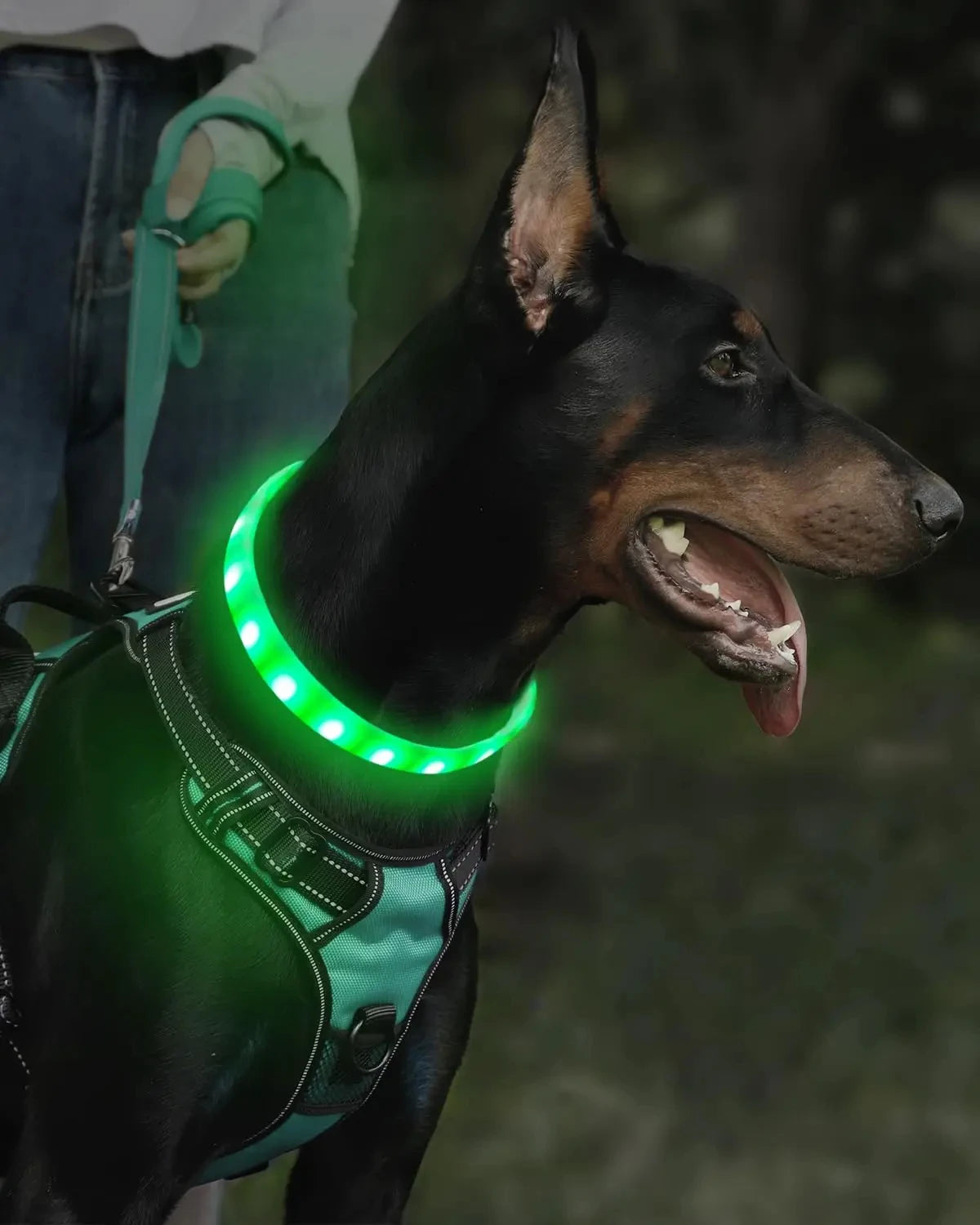 USB Rechargeable Glowing Collar for Large and Small Dogs LED Glowing Dog Collar 9 Flashing Modes Adjustable Soft Silicone Collar