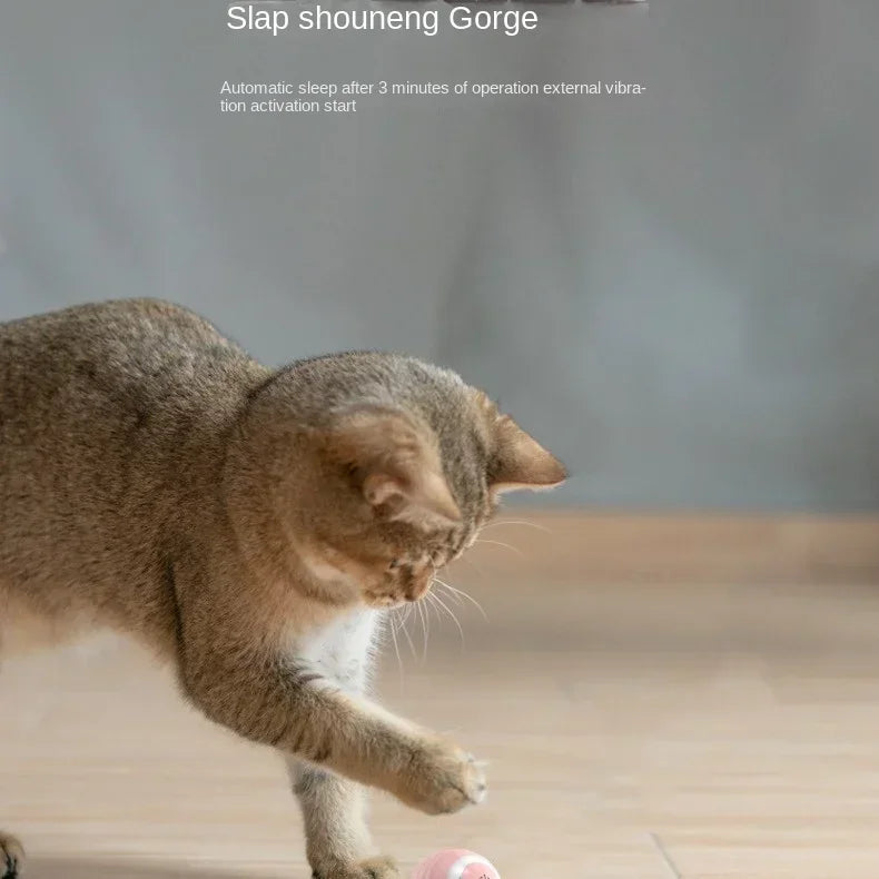 Funny Cat Ball Pet Toy Ball Gravity Rolling Ball Cat Self-Happiness Ball Bite-resistant and Boredom Relieving Automatic Rolling