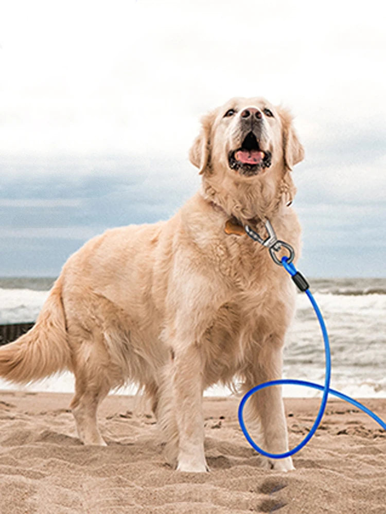 Tie Out Cable Dog Leash with spring Durable Anti-Bite Two Head dog Leash, Outdoor Dogs Leash Belt For Small Medium Dog Walking