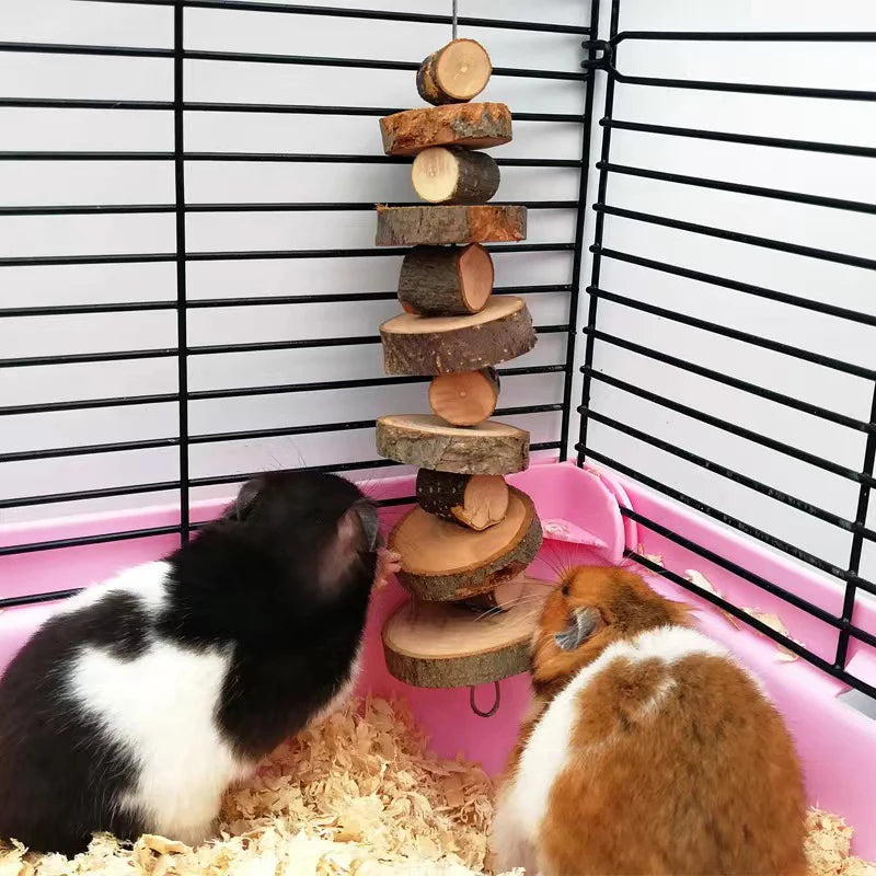 5/10Pcs DIY Natural Wood Slices Round Wooden Circles for Hamster Rabbit Teeth Grinding Toys for Chinchilla Pet Toys accessories
