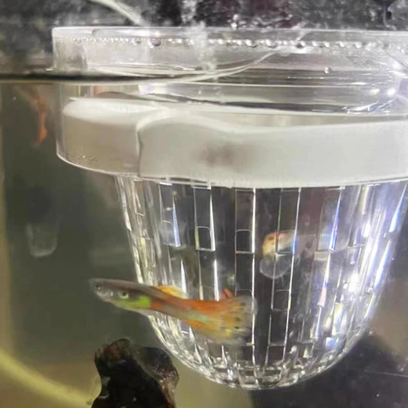 Acrylic Floating Fish Breeding Isolation Box Aquarium Breeder Feeder Fish Tank Hatching Incubator Aquarium Guppy Breed Hatchery