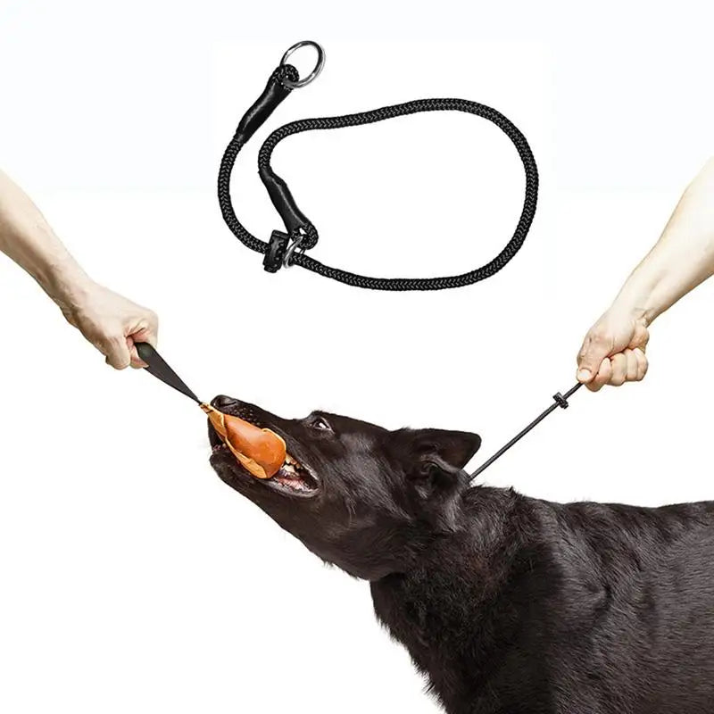 Traction Rope For Dog Long Dog Rope Recall Training Leads Dog Tie Out Rope With Padded Handle Easy Control For Large Medium Dog