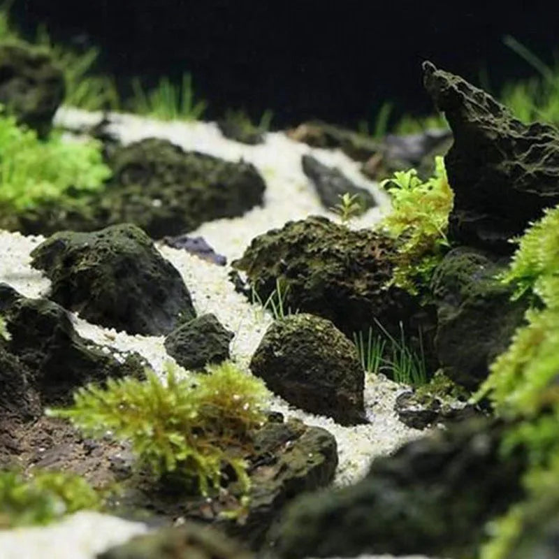 1pcs Natural Aquarium Decor Lava Stone Rockery Landscaping Fish Tank Microporous Volcanic Stone Porous Good for Plants Growth