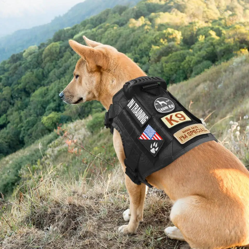 Large Dog Harness Collar Leash Molle Pouches Tactical Training Service Dog Vest Heavy Duty Dog Harness for Small Medium Dogs