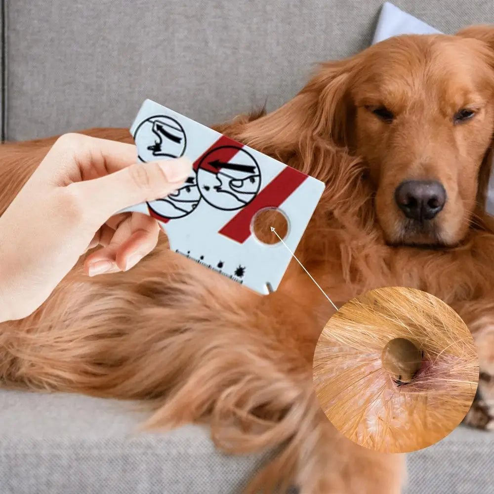 Tick Card with Magnifying Glass Tick Remover for Dogs Quickly Gentle Remove Ticks from Pet Dogs Cats or People