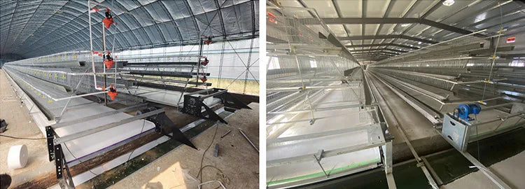 H Type Layer Chicken Cage,Fully Automated Battery Cage Systems, Automated Egg Picking Systems, Customized Purchase on Demand