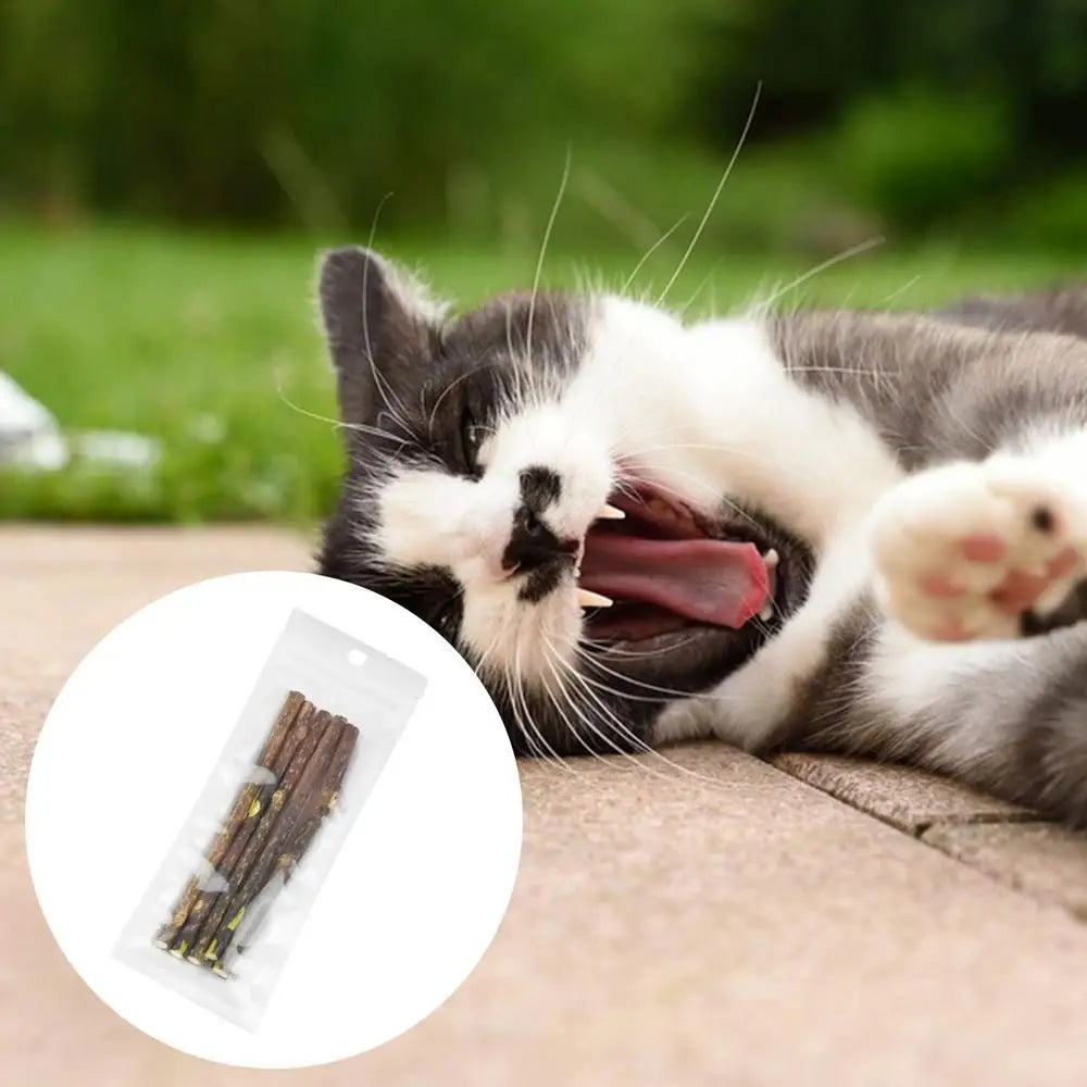 5Pcs Natural Cat Catnip Teeth Molar Stick Pet Cat Snacks Cleaning Teeth Tools Cat Treat Toys Increase Appetite