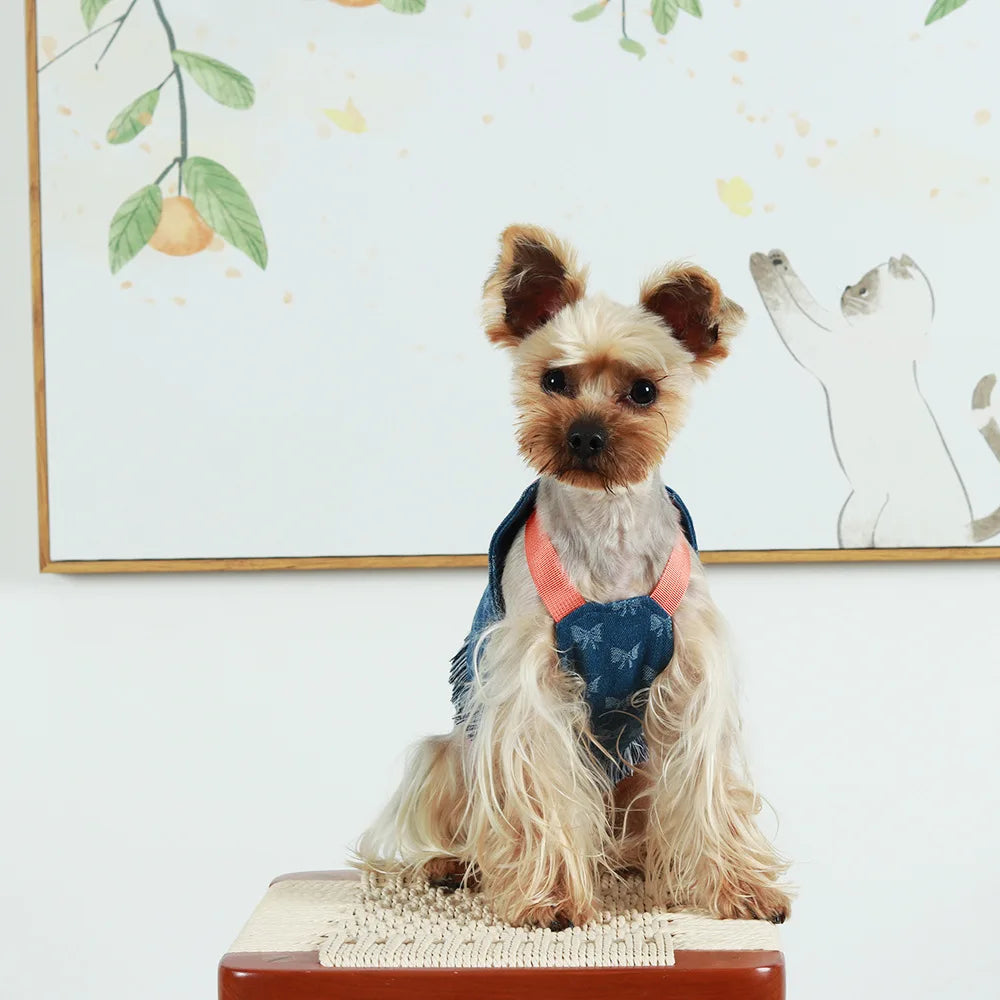New Dog Harness and Leash Set for Small Dogs, Dark Wash Denim Puppy Dog Vest Harness Tassels Pet Jeans Butterfly Harness
