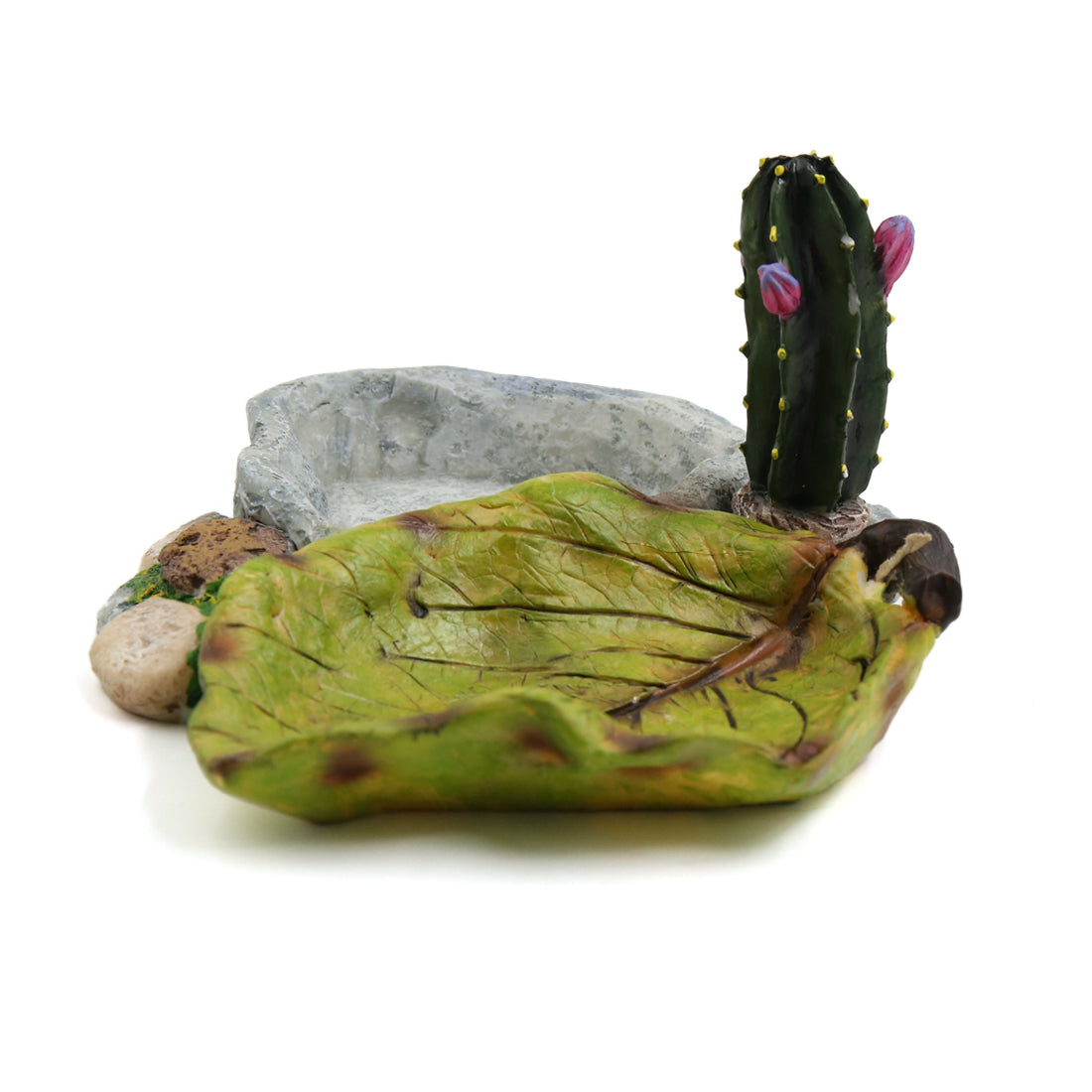 UXCELL Reptile Pet Bowls Feeding Tools Worm Dish Cereus Food Feeder Water Dish Resin Bowl Frog Gecko Spiders Turtles Reptile