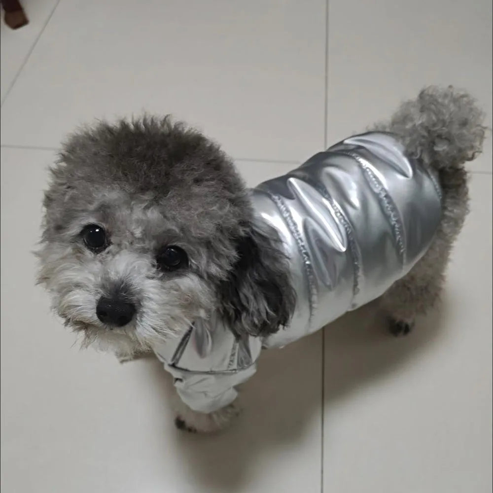 Puppy Pet Dog Clothes Outdoor Windproof Waterproof Leather Dog Coat Winter Warm Padded Jacket for Dogs and Cats in Cold Weather