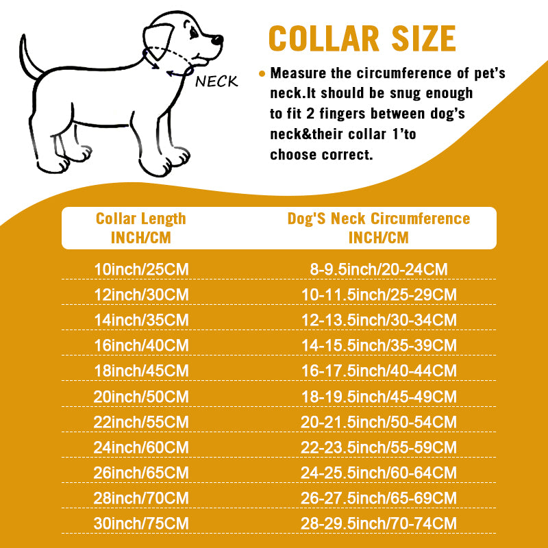 Stainless Steel 18K Gold Dog Collar, Wide Pet Choker, Metal Dog Necklace, Pet Supplies, Accessories for Dogs, 14mm