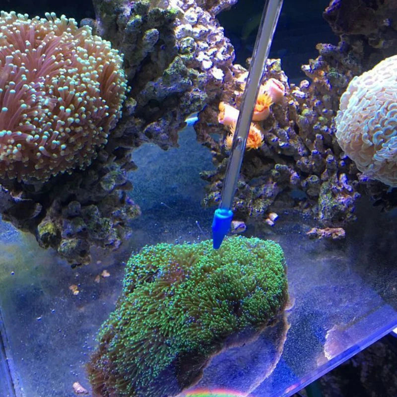 1Pcs Arcylic Coral Feeder Tube Aquarium Coral Dispensing Feeder Coral Feeding Aquarium Organisms Marine Fish Coral Food Tools