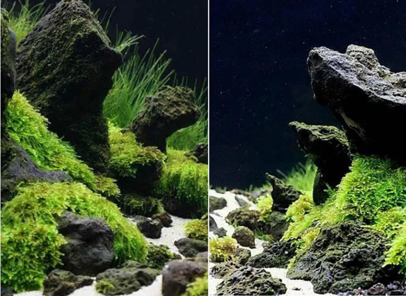 1pcs Natural Aquarium Decor Lava Stone Rockery Landscaping Fish Tank Microporous Volcanic Stone Porous Good for Plants Growth